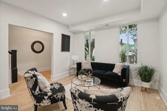 living room with light wood-type flooring