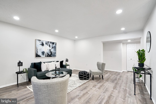 living room with light hardwood / wood-style flooring