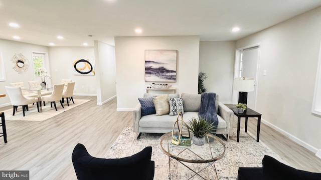 living room featuring light wood-type flooring