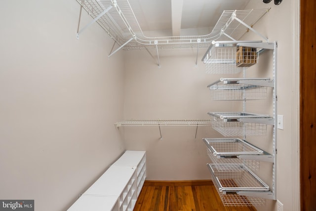 walk in closet with dark hardwood / wood-style flooring