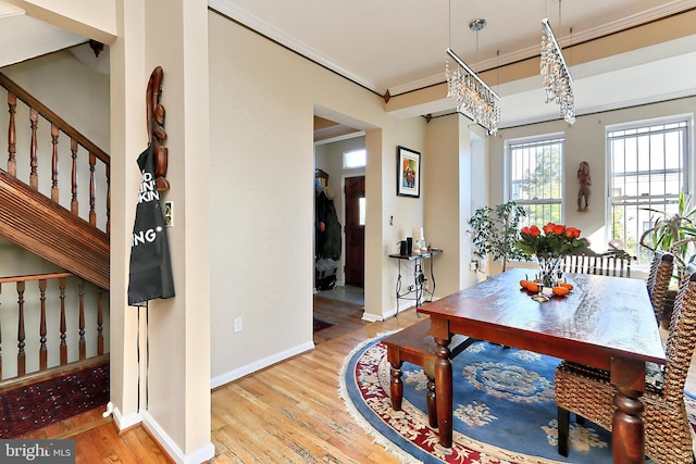 dining room with ornamental molding and light hardwood / wood-style flooring