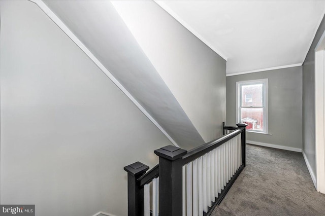stairs featuring carpet and crown molding