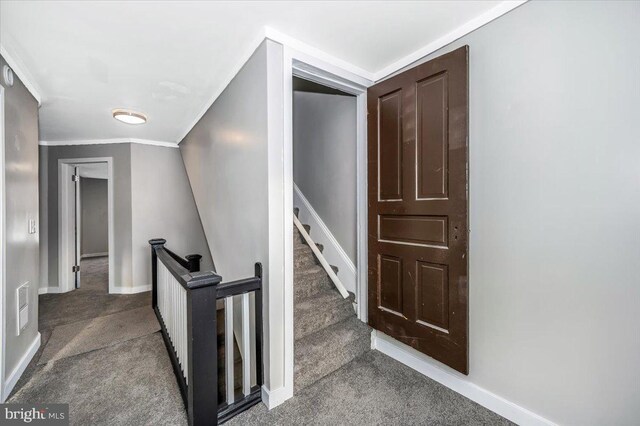 stairway featuring carpet and ornamental molding