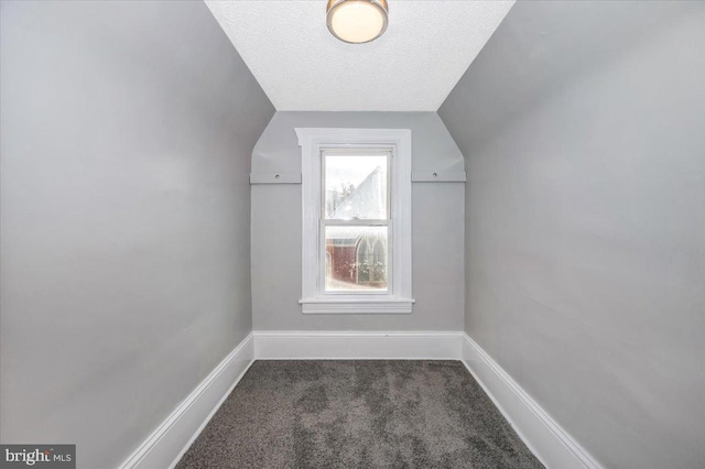 additional living space with dark carpet, a textured ceiling, and vaulted ceiling