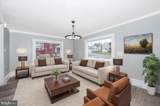 living room with a chandelier, hardwood / wood-style flooring, and ornamental molding