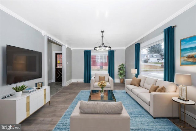 living room with a chandelier, hardwood / wood-style floors, and ornamental molding
