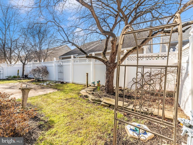 view of yard featuring a patio area