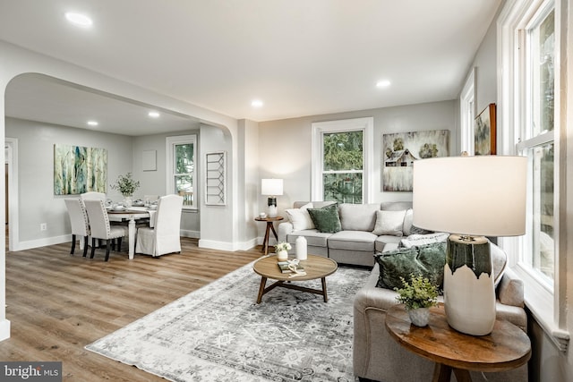 living room featuring light hardwood / wood-style flooring