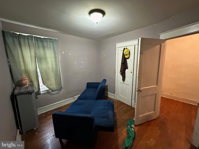 living area featuring dark wood-type flooring