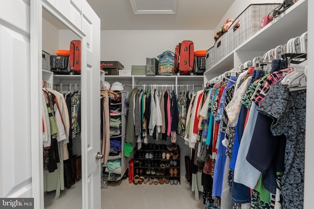 view of spacious closet