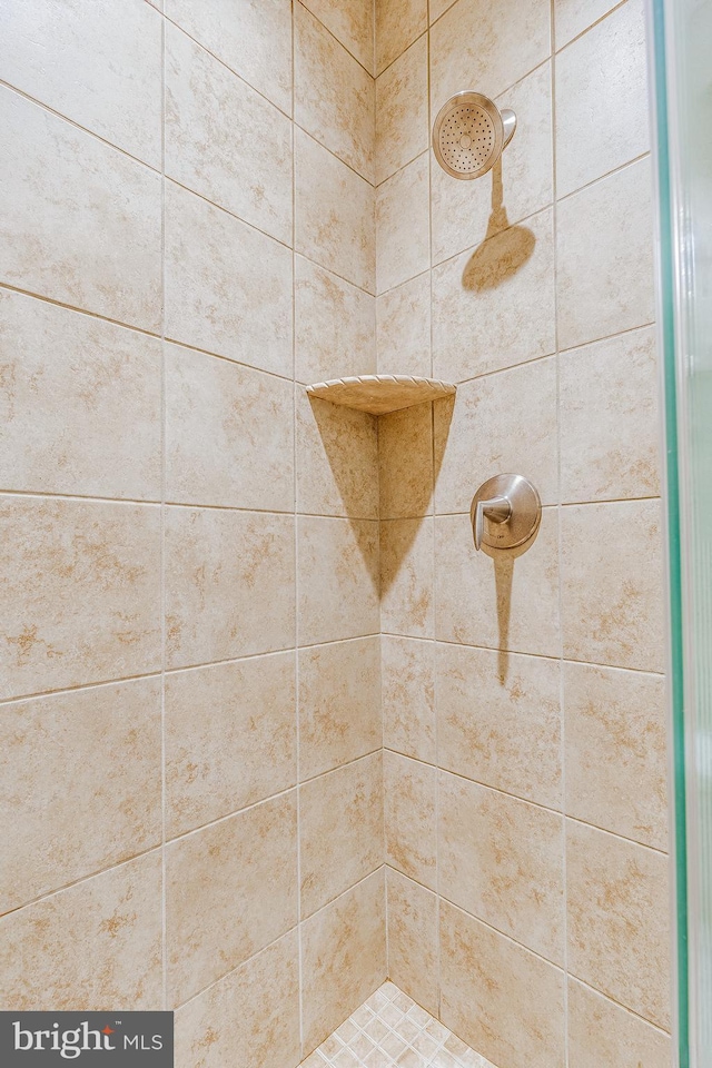 room details featuring tiled shower