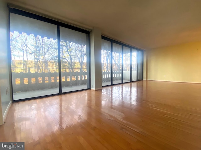 unfurnished room with a wall of windows and light hardwood / wood-style flooring