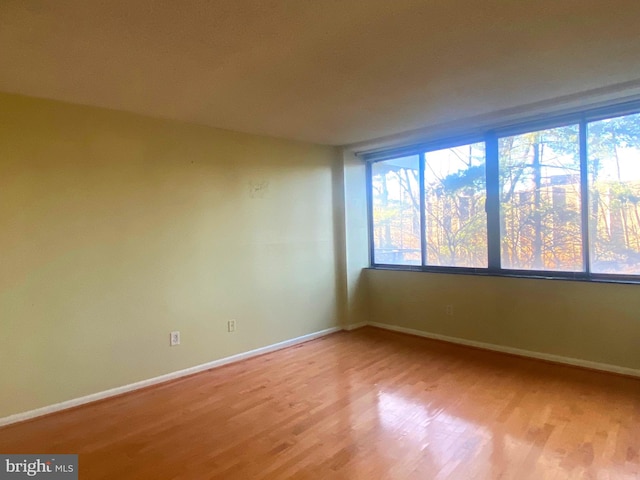 empty room with light hardwood / wood-style floors