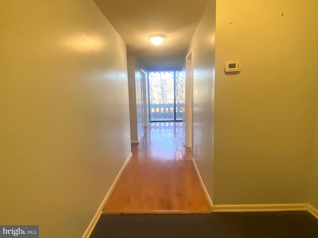 hall featuring hardwood / wood-style floors