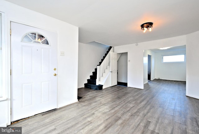 foyer entrance featuring wood-type flooring