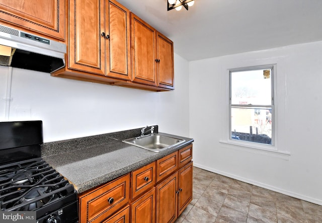 kitchen featuring exhaust hood, gas stove, and sink