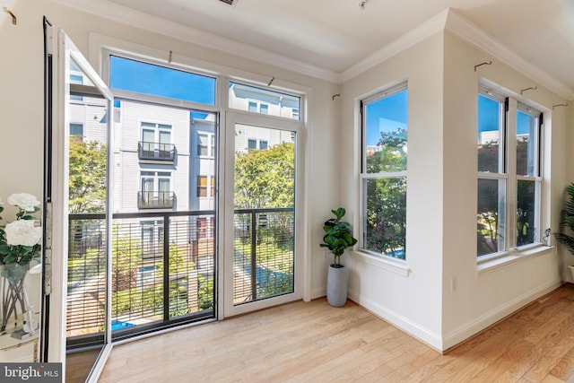 doorway featuring light hardwood / wood-style floors and ornamental molding