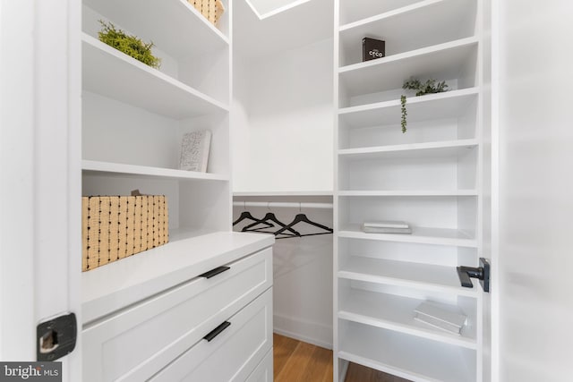 walk in closet with wood-type flooring