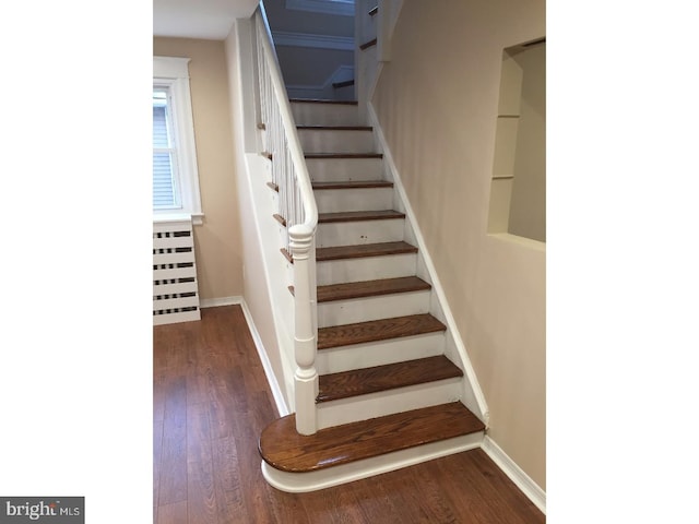 staircase featuring wood-type flooring