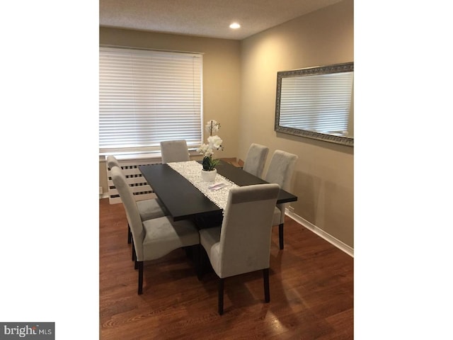 dining space featuring dark wood-type flooring