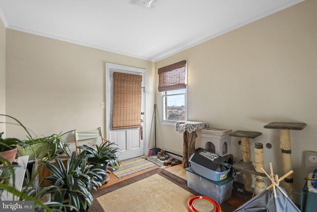 misc room with hardwood / wood-style flooring and crown molding