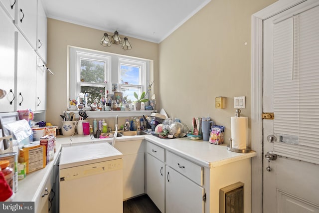 kitchen with sink, dishwasher, white cabinets, and ornamental molding