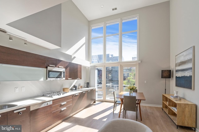 kitchen with sink, a towering ceiling, light wood-type flooring, and appliances with stainless steel finishes