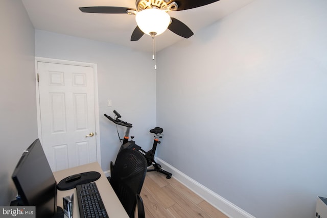 home office featuring ceiling fan and light hardwood / wood-style floors