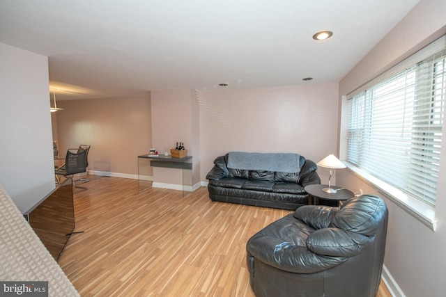 living room featuring hardwood / wood-style flooring