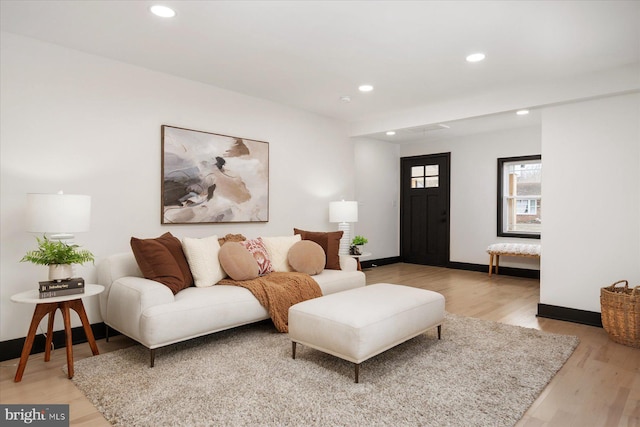 living room with wood-type flooring