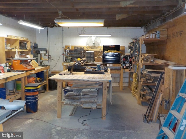 basement featuring a workshop area