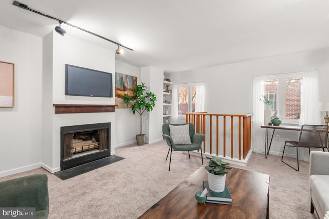 carpeted living room featuring a wealth of natural light and track lighting