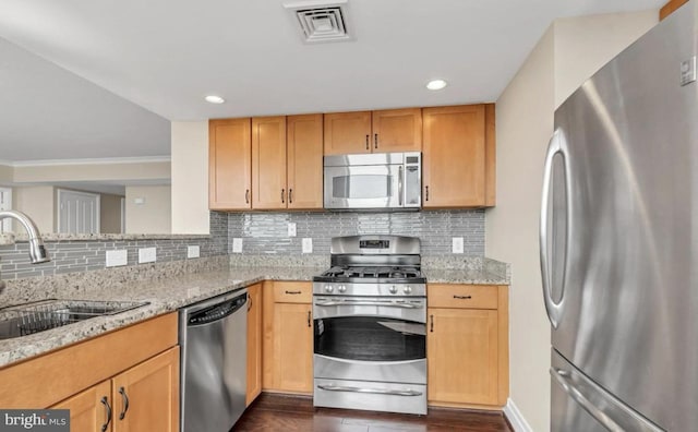 kitchen with dark hardwood / wood-style flooring, light stone counters, sink, and appliances with stainless steel finishes