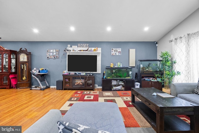 living room featuring wood-type flooring