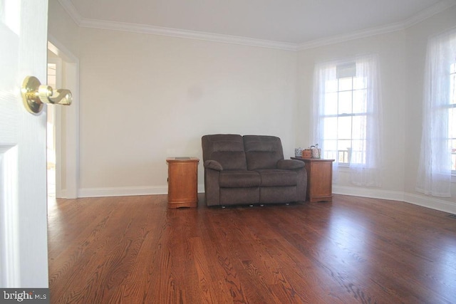 sitting room featuring crown molding and dark hardwood / wood-style flooring