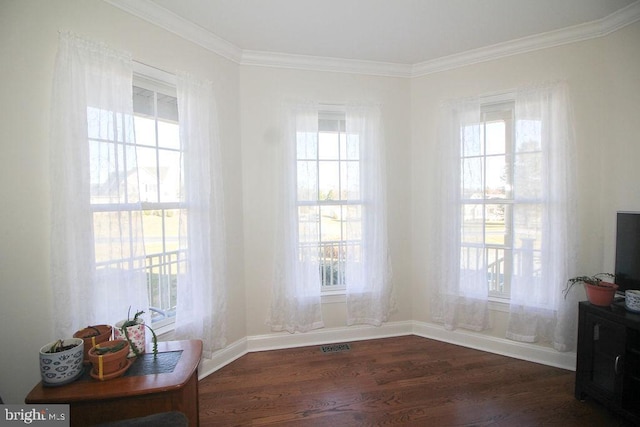 interior space featuring crown molding and dark hardwood / wood-style flooring