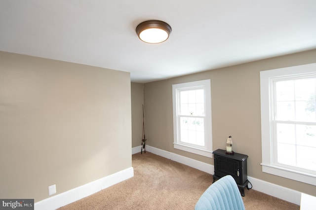 interior space with light colored carpet