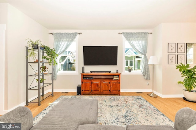 living room with hardwood / wood-style flooring