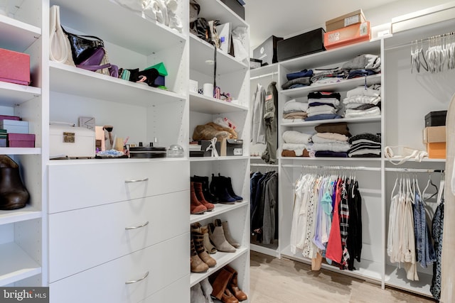 walk in closet featuring light wood-type flooring