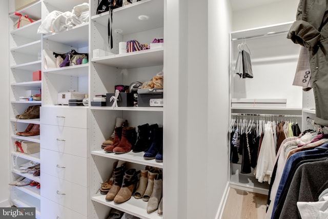 spacious closet with hardwood / wood-style flooring