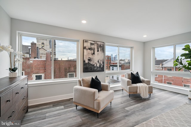 sitting room featuring hardwood / wood-style flooring