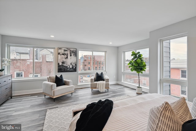 bedroom featuring light hardwood / wood-style floors and multiple windows