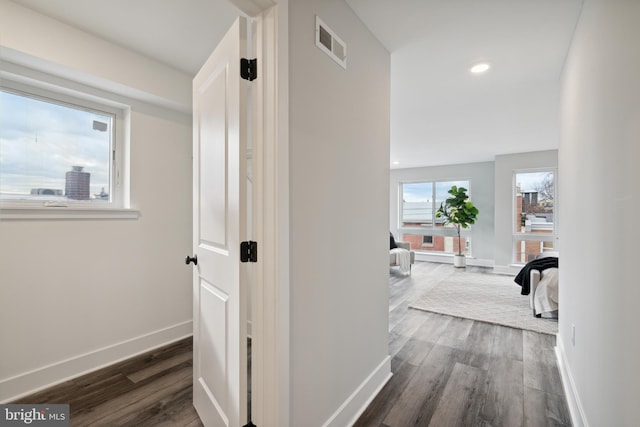 corridor with dark wood-type flooring