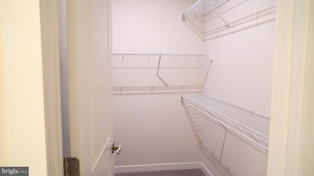 view of walk in closet