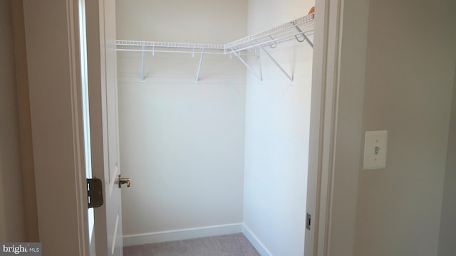 walk in closet with carpet