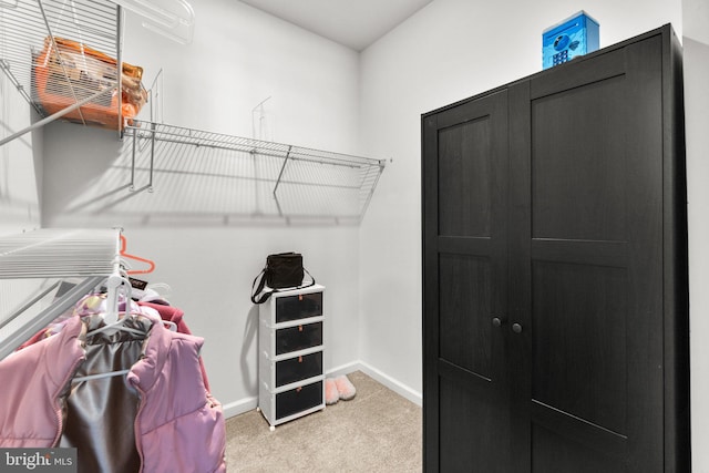 walk in closet featuring light colored carpet