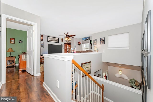 hallway featuring dark hardwood / wood-style flooring