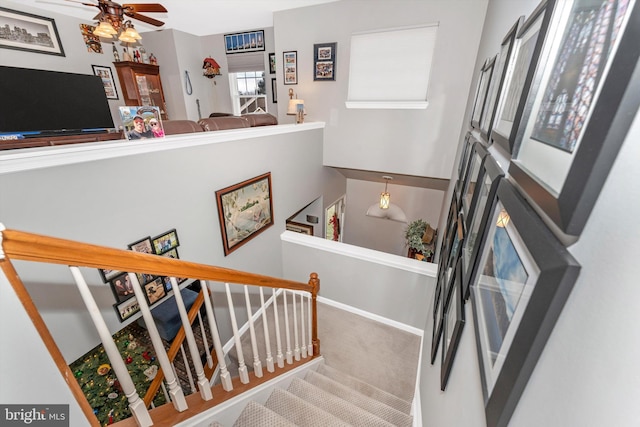 staircase featuring carpet flooring and ceiling fan