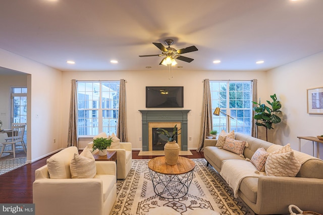 living room with ceiling fan and wood-type flooring