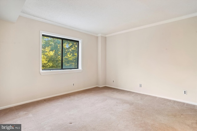 spare room featuring light colored carpet and ornamental molding